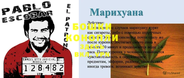 эйфоретик Белоозёрский